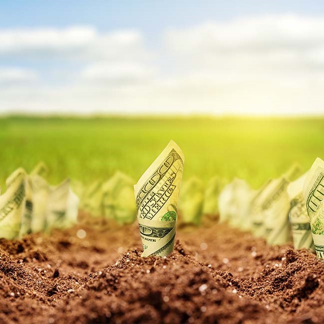 Invest in Agribusiness